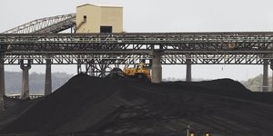 charbon australien