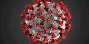 Coronavirus: l’oms simplifie les noms des variants
