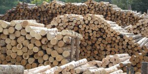  En Europe, la conjoncture de la filire bois est meilleure qu’attendue  (Jean-Franois Guilbert, directeur de FrenchTimber)