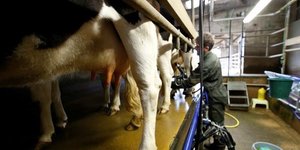 France: hausse des prix du lait en vue