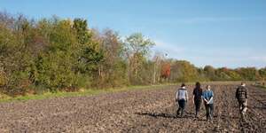 haies agricoles