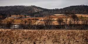 Incendies dans l'Aude, août 2025