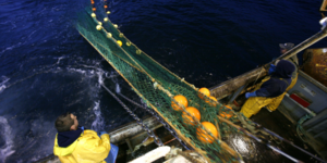 Mer, pêche, France,