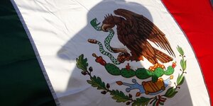 Seisme de magnitude 5,3 frappe au mexique