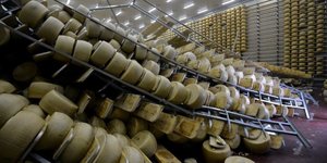 usine de fromage
