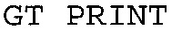 GT PRINT_logo