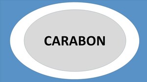 CARABON_logo