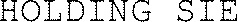 HOLDING SIE_logo