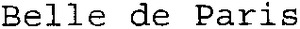 Belle de Paris_logo