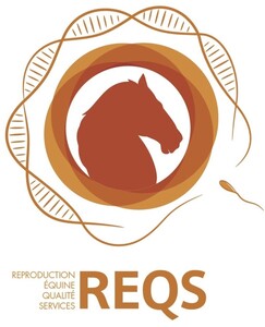 REQS REPRODUCTION EQUINE QUALITE SERVICES_logo