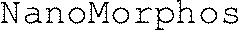 NanoMorphos_logo