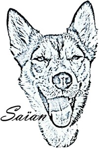 Saïan_logo