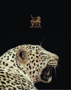 W.T.S ART STUDIO_logo