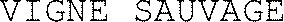 VIGNE SAUVAGE_logo