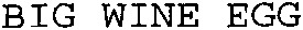 BIG WINE EGG_logo