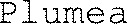 FMARK0000000004312655