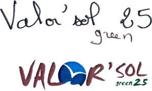 Valor'sol green 25_logo