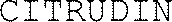 CITRUDIN_logo