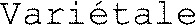 FMARK0000000004351069