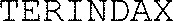 TERINDAX_logo