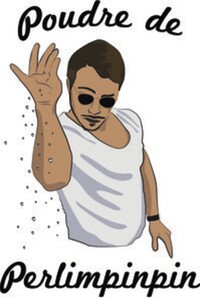 POUDRE DE PERLIMPINPIN_logo