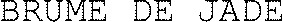 BRUME DE JADE_logo