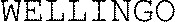 WELLINGO_logo