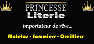 PRINCESSE LITERIE IMPORTATEUR DE REVE MATELAS SOMMIERS OREILLERS_logo