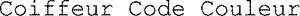 Coiffeur Code Couleur_logo