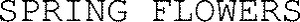 SPRING FLOWERS_logo