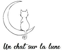 Un chat sur la lune_logo