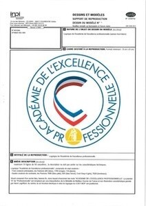 ACADEMIE DE L'EXCELLENCE PROFESSIONNELLE_logo