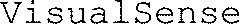 VisualSense_logo