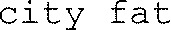 city fat_logo