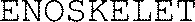ENOSKELET_logo