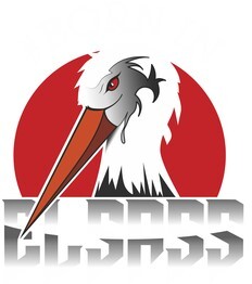 ELSASS_logo