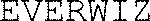 EVERWIZ_logo