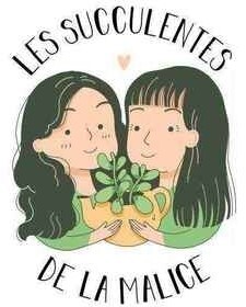 LES SUCCULENTES DE LA MALICE_logo