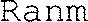 Ranm_logo