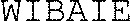 WIBAIE_logo