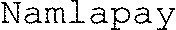 Namlapay_logo