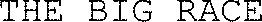 THE BIG RACE_logo