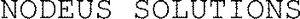 NODEUS SOLUTIONS_logo