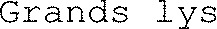 Grands lys_logo