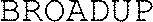 BROADUP_logo