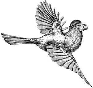 _logo