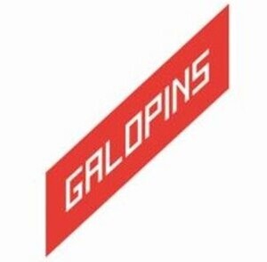 GAL OPINS_logo