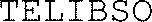 TELIBSO_logo
