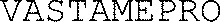 VASTAMEPRO_logo