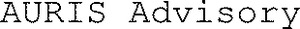 AURIS Advisory_logo